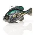 Crappie