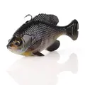 Black Gill