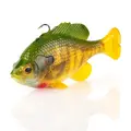 Vivid Gill