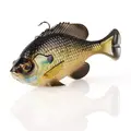 Bream
