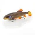 Redhorse Sucker Flash