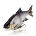 Purple Shad