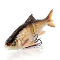 Golden Shiner
