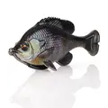 Black Gill