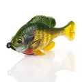 Vivid Gill