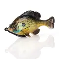 Bream
