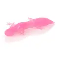 Clear Pink