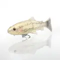 Washed Out Trout