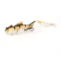 Walleye