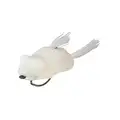 Albino Flash