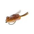 Tan Frog