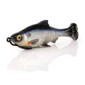 Shad