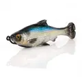 Sexy Shad