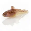 Mudbug