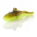 Green Pumpkin/Chartreuse