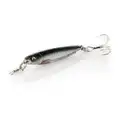 Anchovy