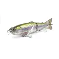 Rainbow Trout