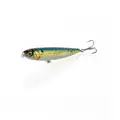 American Shad