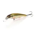 Gold Shiner