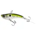 Emerald Shiner