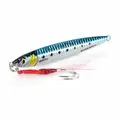 Sardine