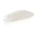 Albino Flash