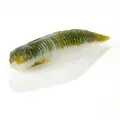 Smallmouth Magic