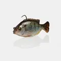 Ghost Pinfish