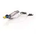 Mallard