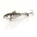 Bluegill