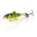 Yellow Perch