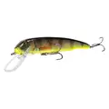 Black Perch