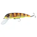 Orange Tiger Glitter
