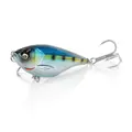 Sardine
