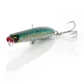 Green Mackerel