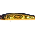 Black Gold Orange Belly H04