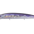 Crystal Blue Shiner H09