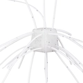 Fall Webworm SR06