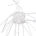 Fall Webworm SR06