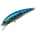 Sardine MG-10