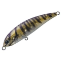 Reef Shrimp T-179