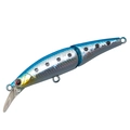 Sardine MG-10