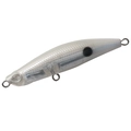 Baby Squid TG T-178