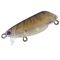 Reef Shrimp T-179