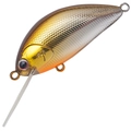 Stream Shad HMSS