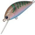 Pearl Crayfish P-487