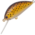 Loach SL-47