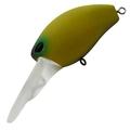 Matte Olive MOL