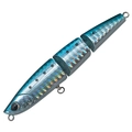 Sardine H-10