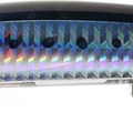： Chigomori Sardine
